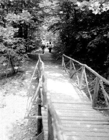 Higgs 5b.jpg - Carlisle Footbridge